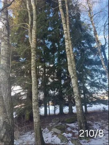 Prodej lesa, Dívčí Kopy, 1088 m2