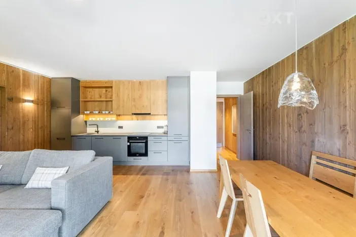 Prodej bytu 2+kk, Vítkovice, 57 m2