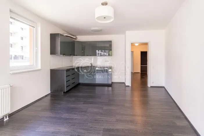 Pronájem bytu 3+kk, Praha - Žižkov, Olgy Havlové, 72 m2