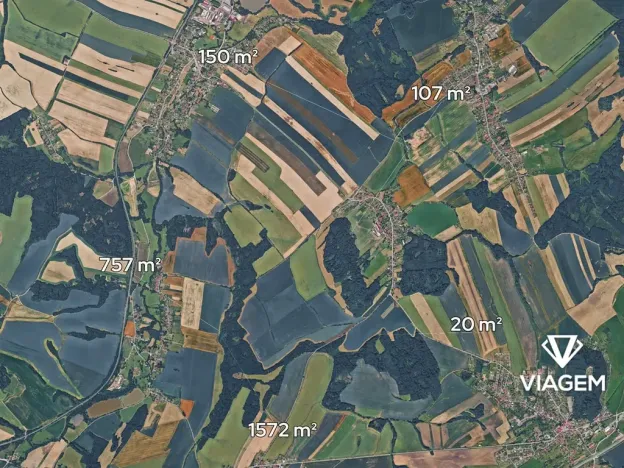 Prodej podílu lesa, Jeseník nad Odrou, 1303 m2