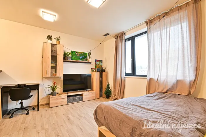 Pronájem bytu 1+kk, Brno - Židenice, Gajdošova, 34 m2