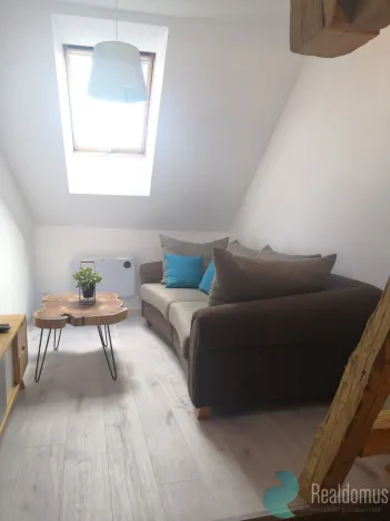 Pronájem bytu 1+kk, České Budějovice, K. Vinařického, 33 m2