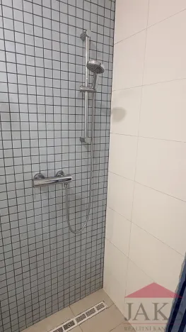 Pronájem bytu 3+kk, Sušice - Sušice II, Gabrielova, 114 m2