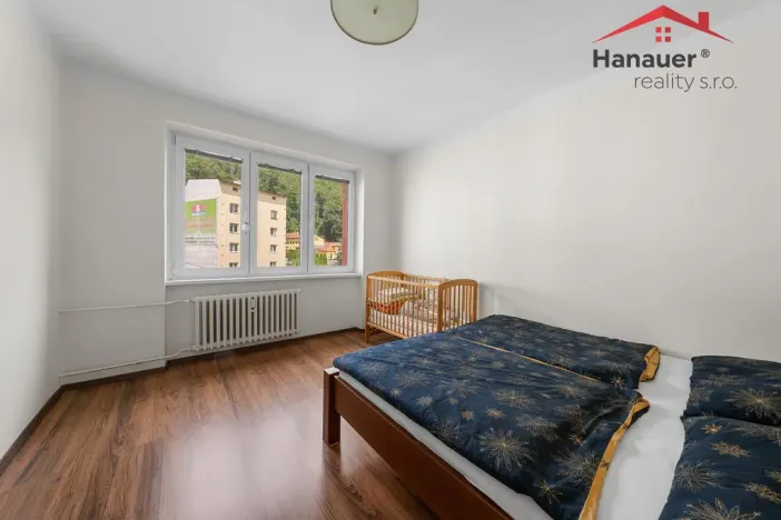 Prodej bytu 3+1, Děčín - Děčín II-Nové Město, Kamenická, 65 m2