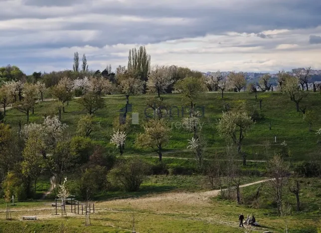 Pronájem bytu 3+kk, Praha, Nad Smetankou, 86 m2