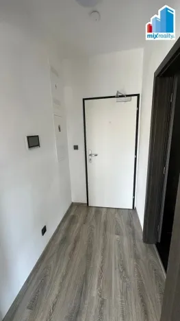 Pronájem bytu 1+kk, Plzeň, Pilařská, 31 m2