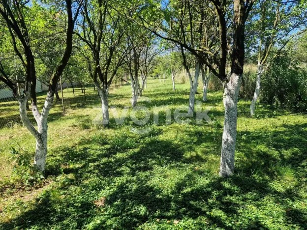 Prodej rodinného domu, Uherský Brod - Těšov, Dr. Horáka, 130 m2