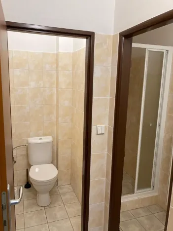 Pronájem bytu 2+kk, Rynholec, 70 m2
