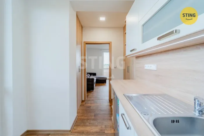 Prodej bytu 2+1, Opava - Předměstí, Haškova, 51 m2