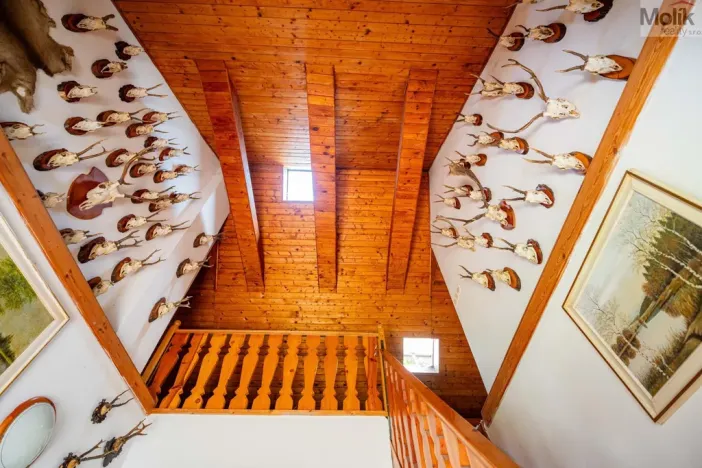 Prodej chaty, Pnětluky - Konětopy, 248 m2