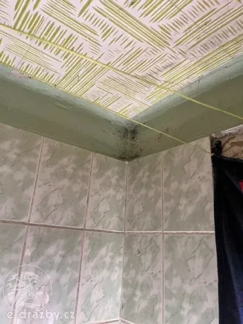 Dražba rodinného domu, Studénka, Družstevní, 88 m2