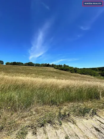 Prodej pozemku pro bydlení, Nesovice, 4059 m2