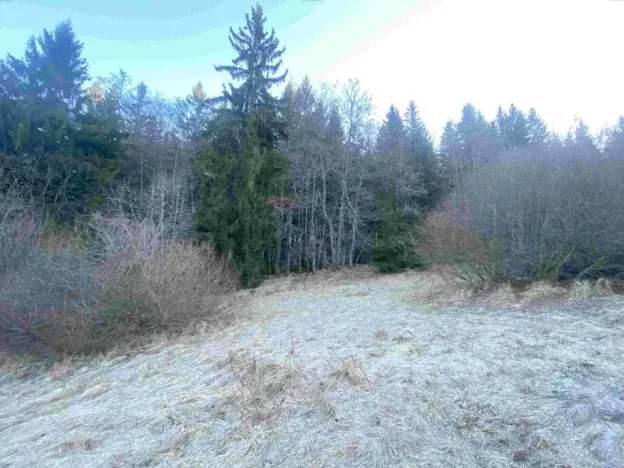 Dražba pozemku, Železná Ruda, 2377 m2