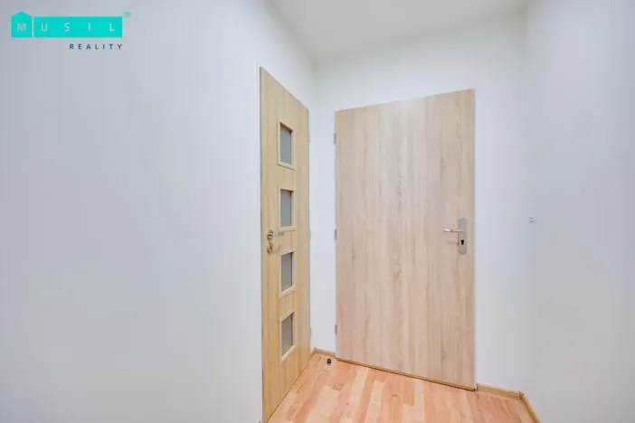 Pronájem bytu 1+kk, Olomouc - Nová Ulice, Resslova, 35 m2