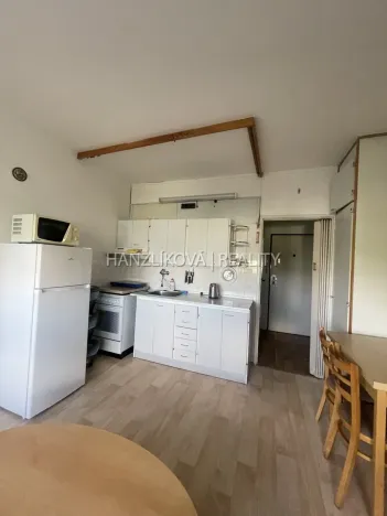 Pronájem bytu 1+1, České Budějovice - České Budějovice 2, J. Opletala, 35 m2