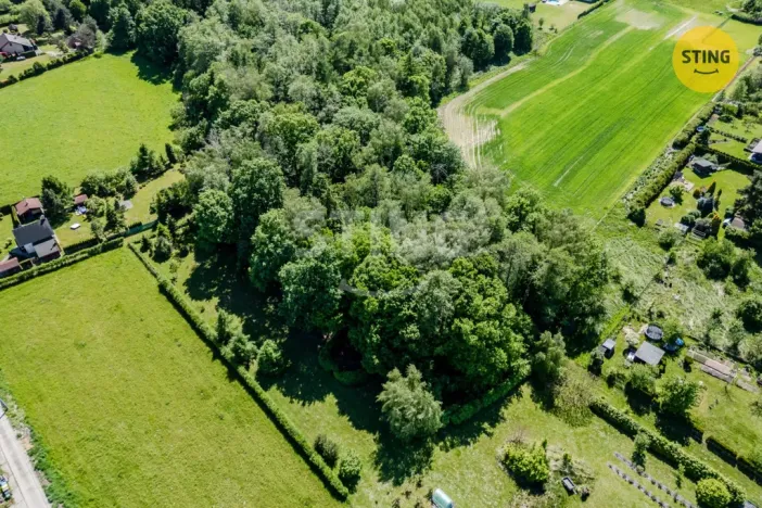 Prodej lesa, Orlová - Lutyně, 1028 m2