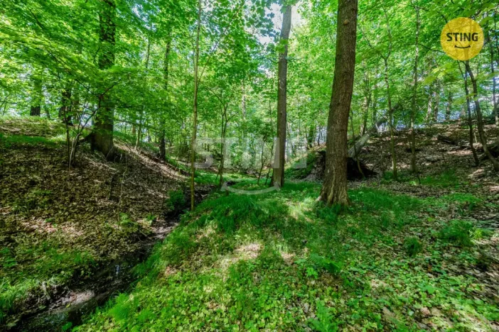Prodej lesa, Orlová - Lutyně, 1028 m2