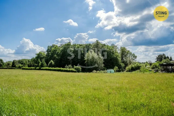 Prodej lesa, Orlová - Lutyně, 1028 m2