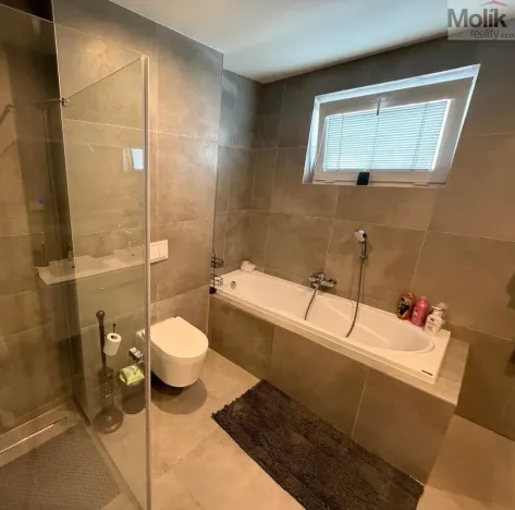 Pronájem bytu 3+kk, Most, Průběžná, 74 m2