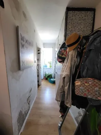 Pronájem bytu 2+1, Dobřany, Stromořadí, 64 m2