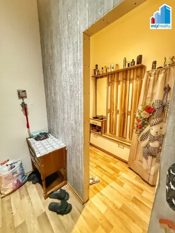 Pronájem bytu 3+1, Plzeň, Klatovská třída, 123 m2