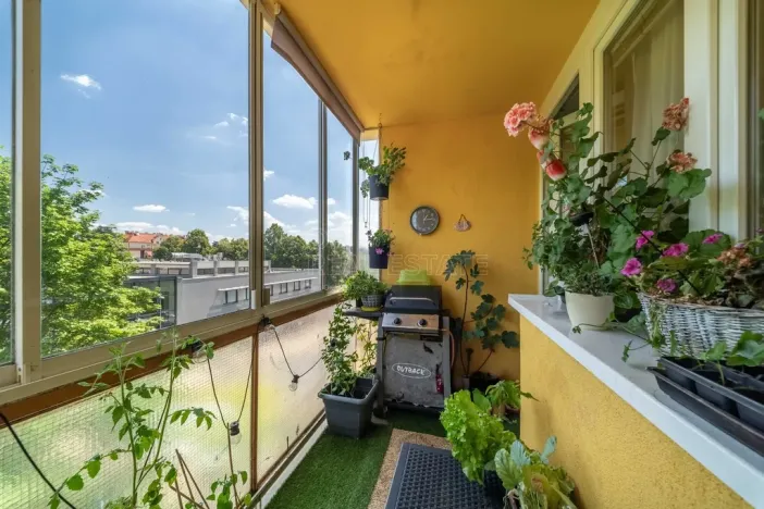 Prodej bytu 3+1, Dobřany, 17. listopadu, 62 m2