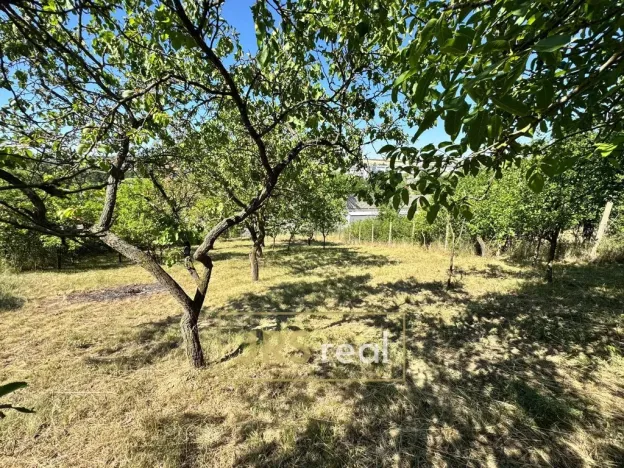 Prodej zahrady, Hustopeče, 530 m2