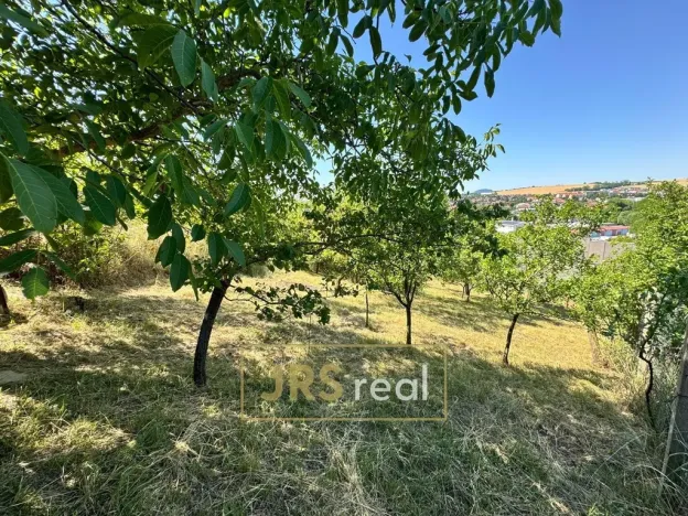 Prodej zahrady, Hustopeče, 530 m2