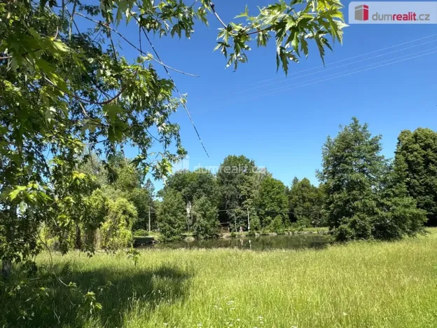 Prodej rodinného domu, Bor - Ostrov, 390 m2