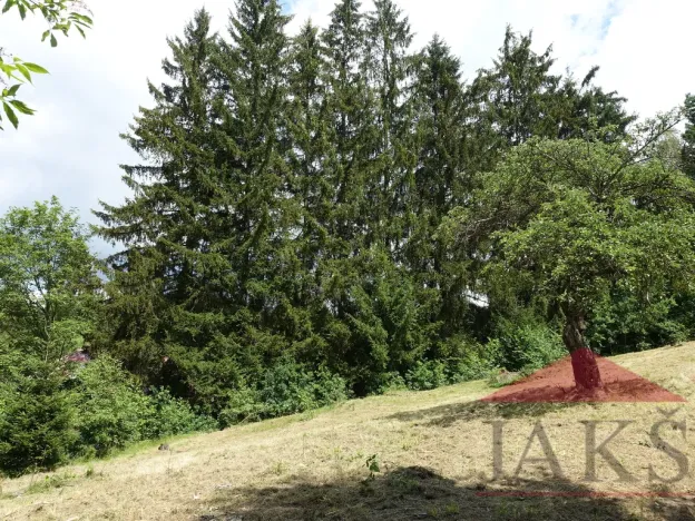 Prodej pozemku pro bydlení, Kašperské Hory, 1205 m2