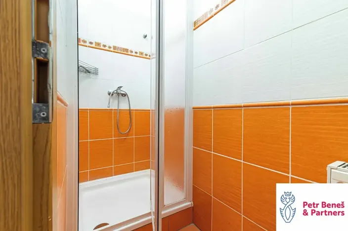 Pronájem skladu, Rakovník, Sportovní, 220 m2