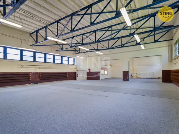 Prodej skladu, Hodonín, Brandlova, 250 m2