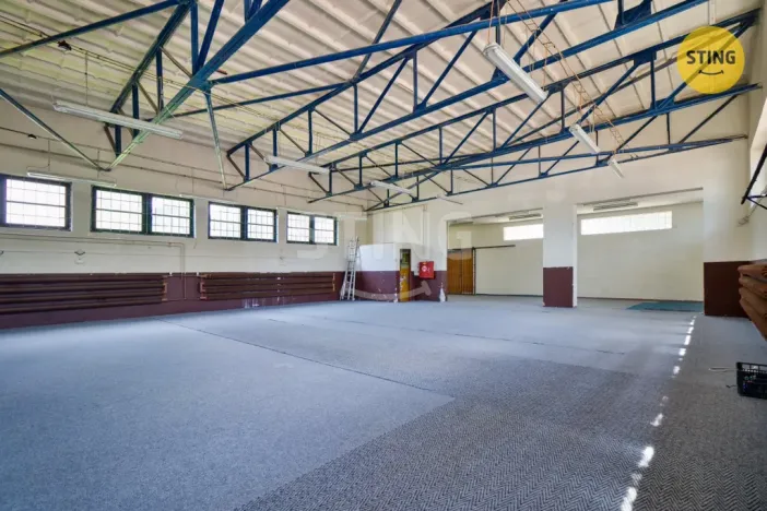 Prodej skladu, Hodonín, Brandlova, 250 m2