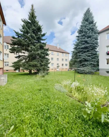 Prodej bytu 1+kk, Nový Bor, Riegrova, 32 m2