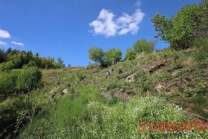 Prodej chaty, Svojšín, 40 m2