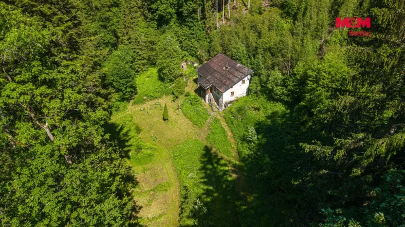 Prodej lesa, Jablonec nad Jizerou - Dolní Tříč, 18052 m2