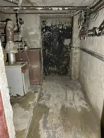 Prodej rodinného domu, Rosice, U Sýpky, 345 m2