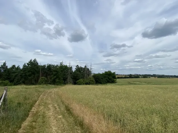 Prodej lesa, Slavičky - Pozďátky, 560 m2