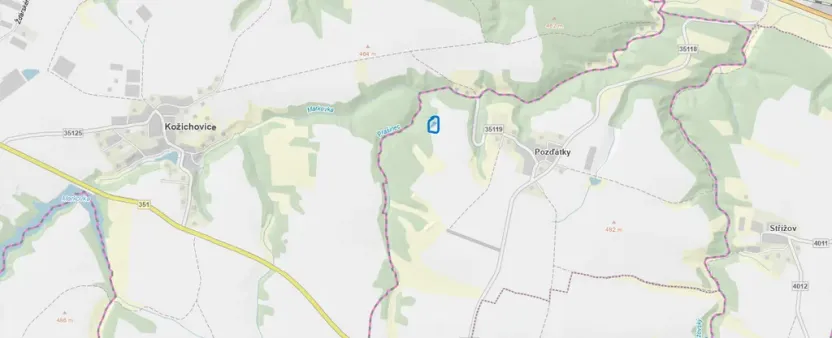 Prodej lesa, Slavičky - Pozďátky, 560 m2