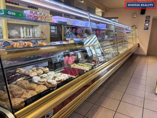 Pronájem komerční nemovitosti, Bučovice, Slavkovská, 101 m2