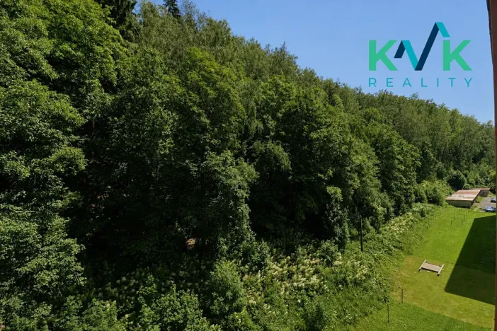 Prodej bytu 2+1, Kraslice, Čs. armády, 52 m2