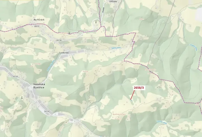 Dražba pozemku, Valašská Bystřice, 673 m2