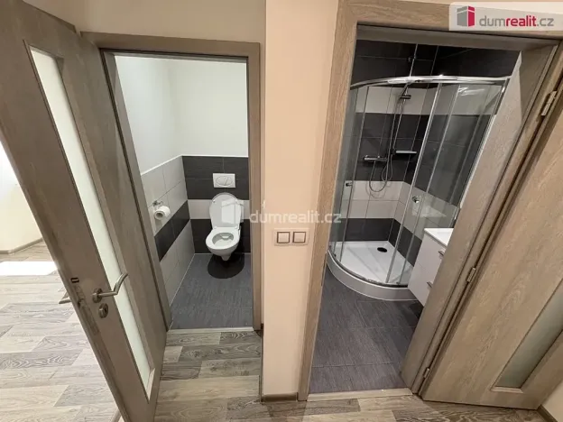 Pronájem bytu 3+kk, Město Touškov, Čemínská, 55 m2