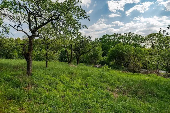 Prodej pozemku pro bydlení, Veliny, 1652 m2