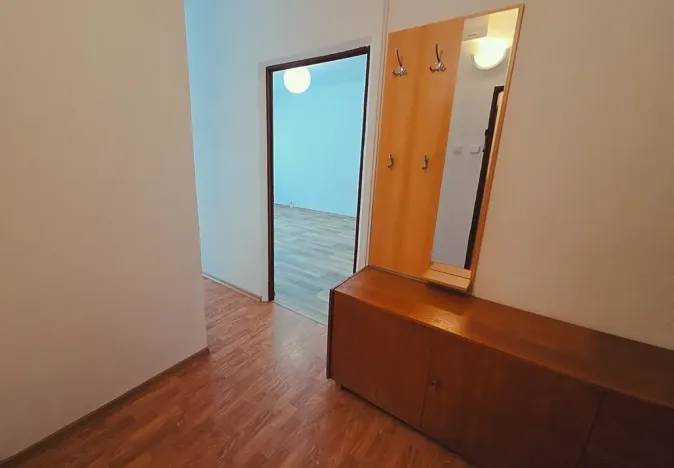 Pronájem bytu 1+1, Ústí nad Labem, Voskovcova, 39 m2