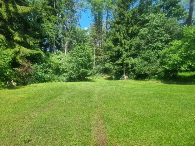 Prodej chalupy, Černá v Pošumaví - Plánička, 80 m2