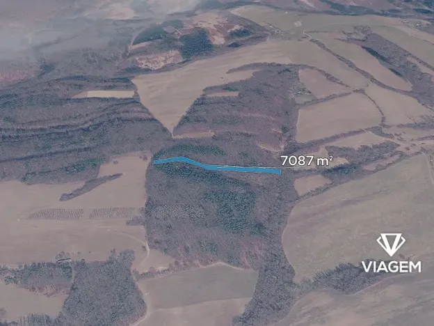 Prodej podílu lesa, Březůvky, 2952 m2