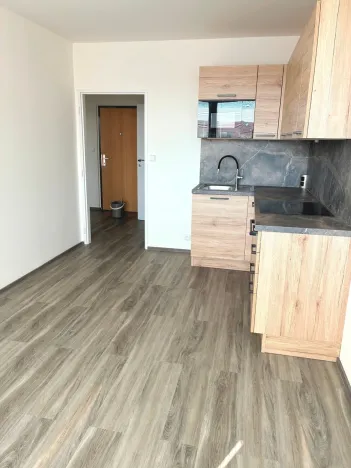 Pronájem bytu 2+kk, Praha, Bryksova, 40 m2
