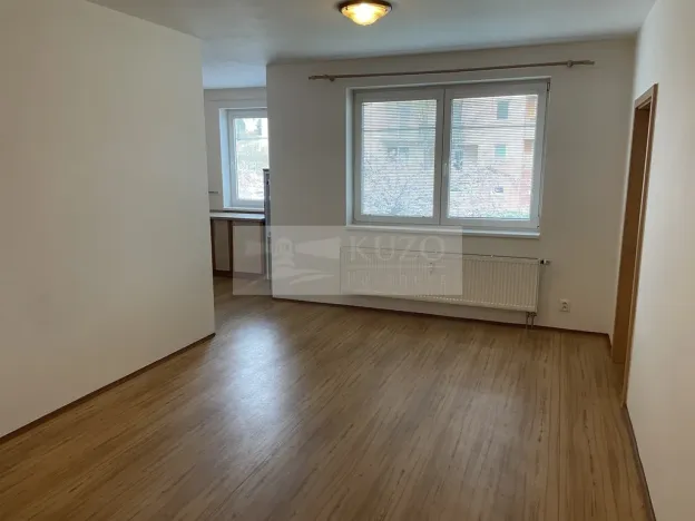 Pronájem bytu 2+kk, Plzeň - Východní Předměstí, Květná, 51 m2