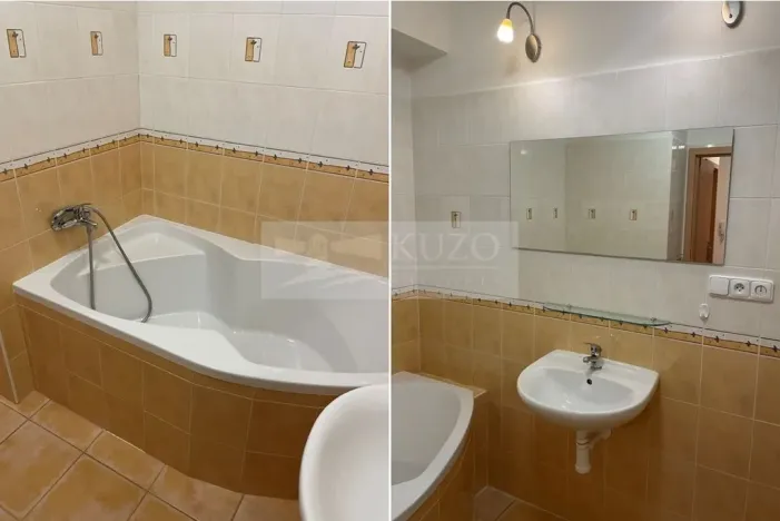 Pronájem bytu 2+kk, Plzeň - Východní Předměstí, Květná, 51 m2